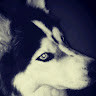 Ismael HD
